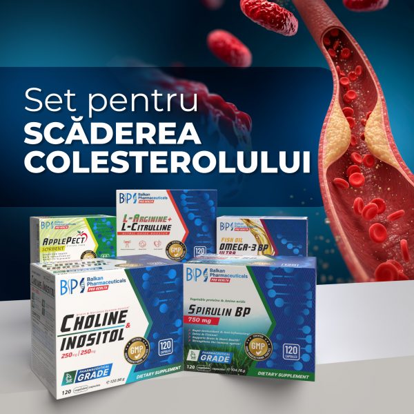 SET: Scăderea Colesterolului