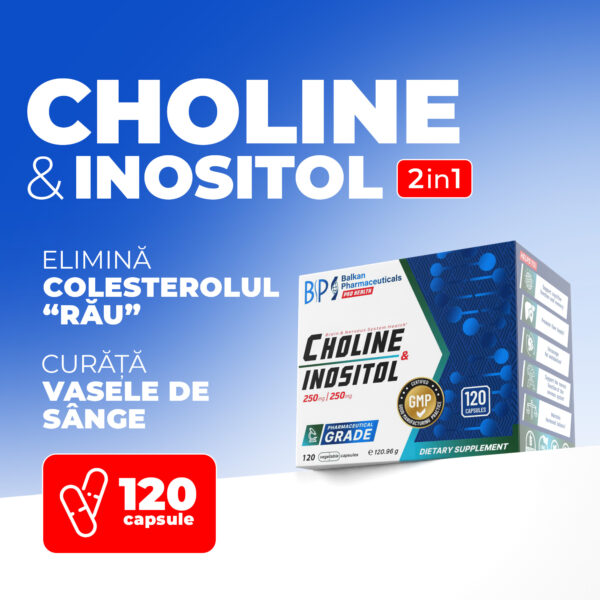 Choline & Inositol