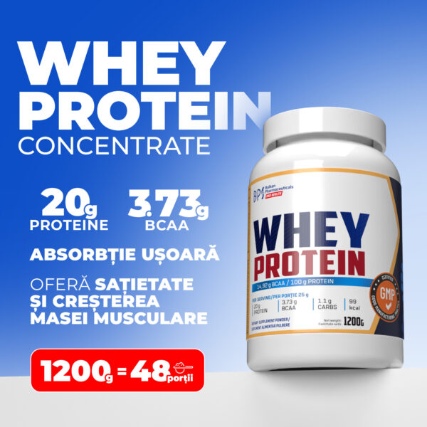 WHEY PROTEIN (CONCENTRATE) 1,2 kg